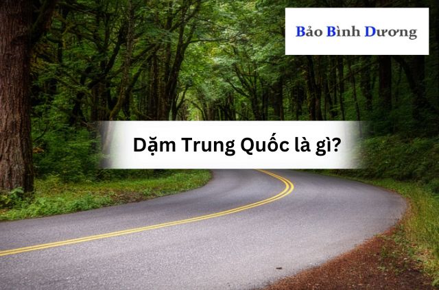 Giai-thich-chi-tiet-ve-don-vi-dam-Trung-Quoc