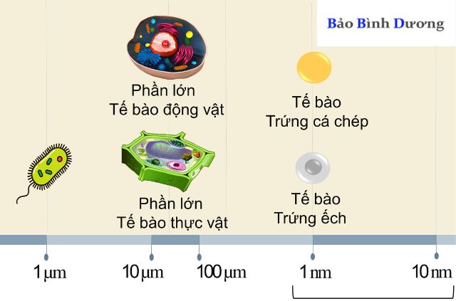 Huong-Dan-Chi-Tiet-Cach-Doi-Don-Vi-Micromet-Chinh-Xac-va-De-Hieu