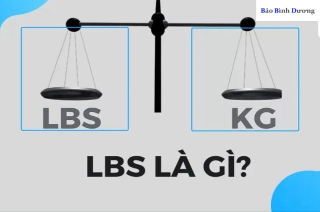 Lbs-la-gi-giai-thich-chi-tiet-ve-thuat-ngu-lbs